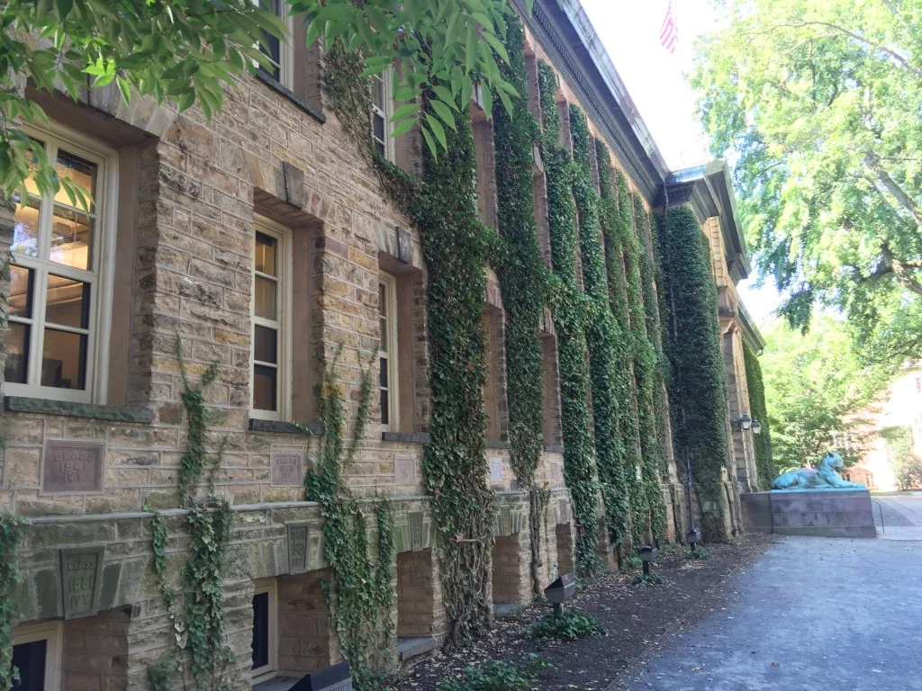 Image: Ivy on Nassau Hall