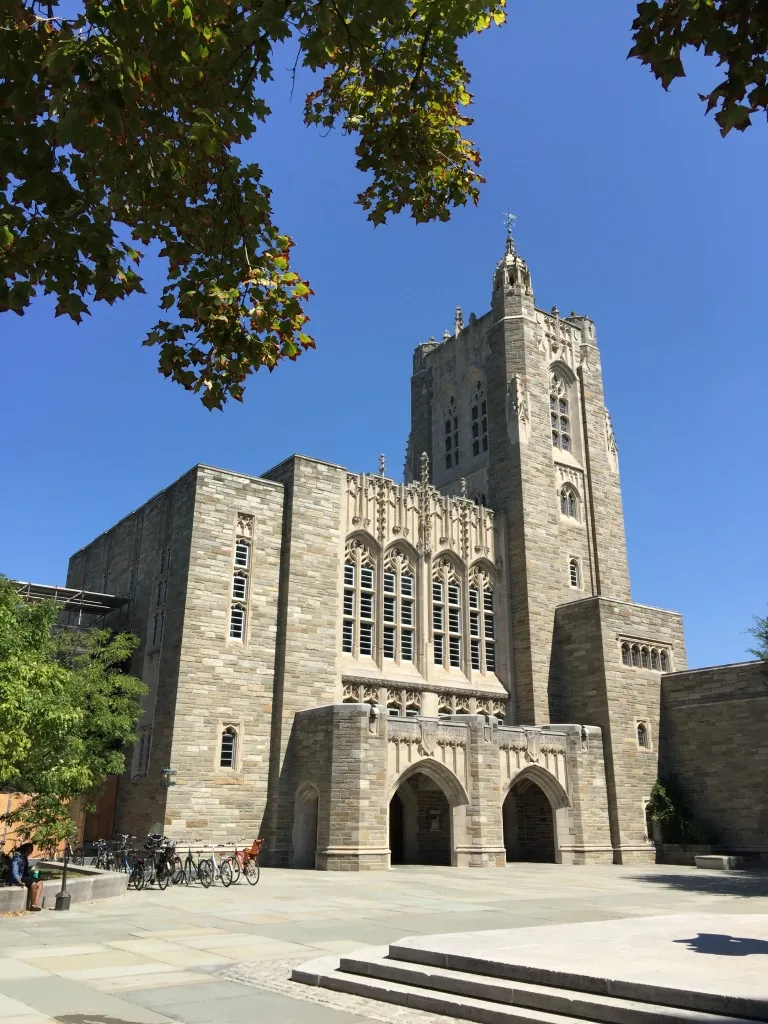 Image: library