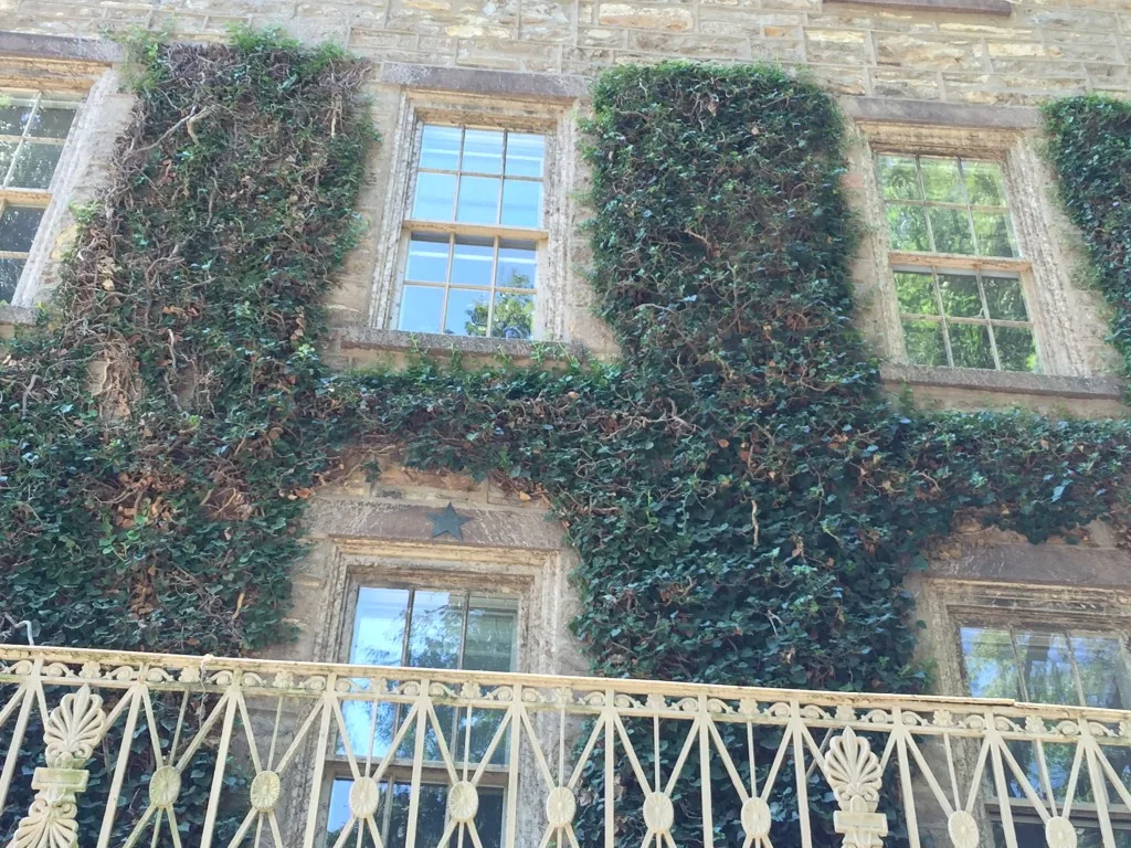 Image: Can you see the five-pointed star?